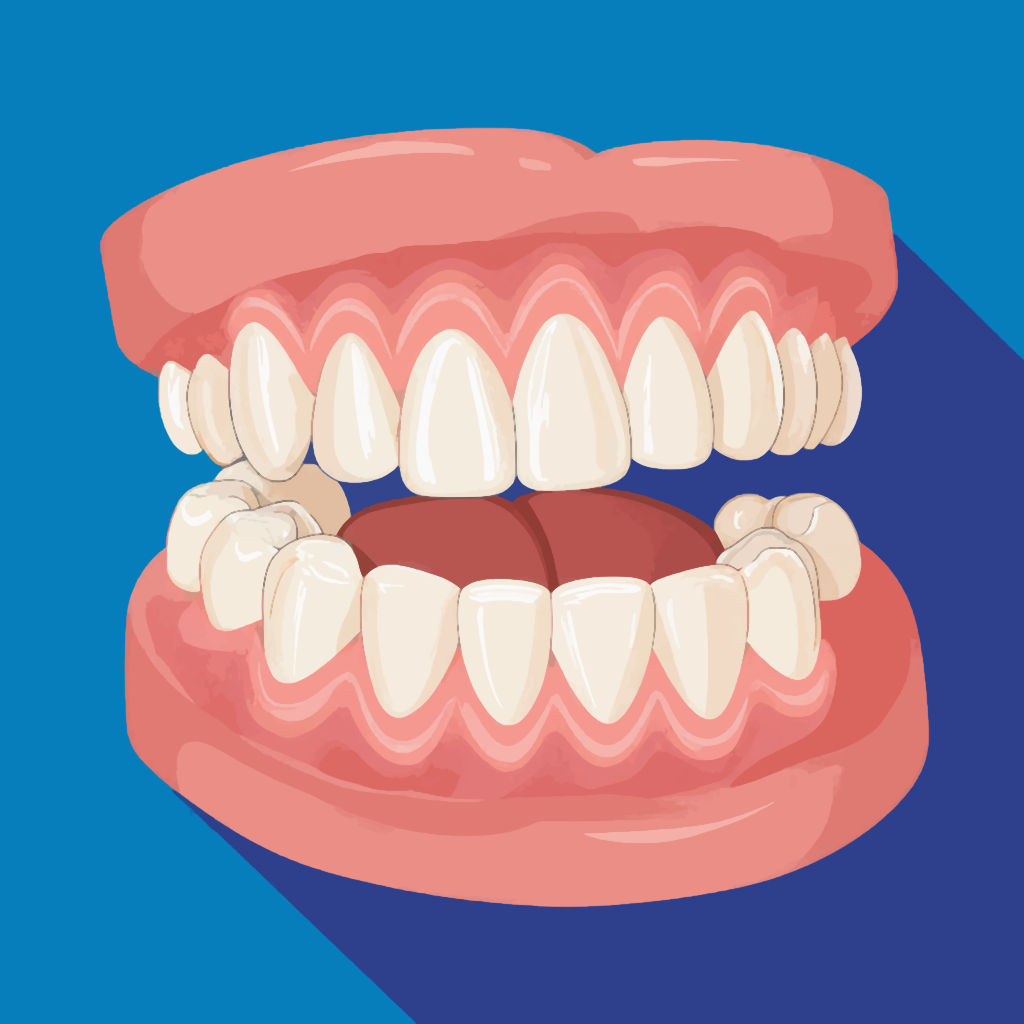 Изображение вставной челюсти