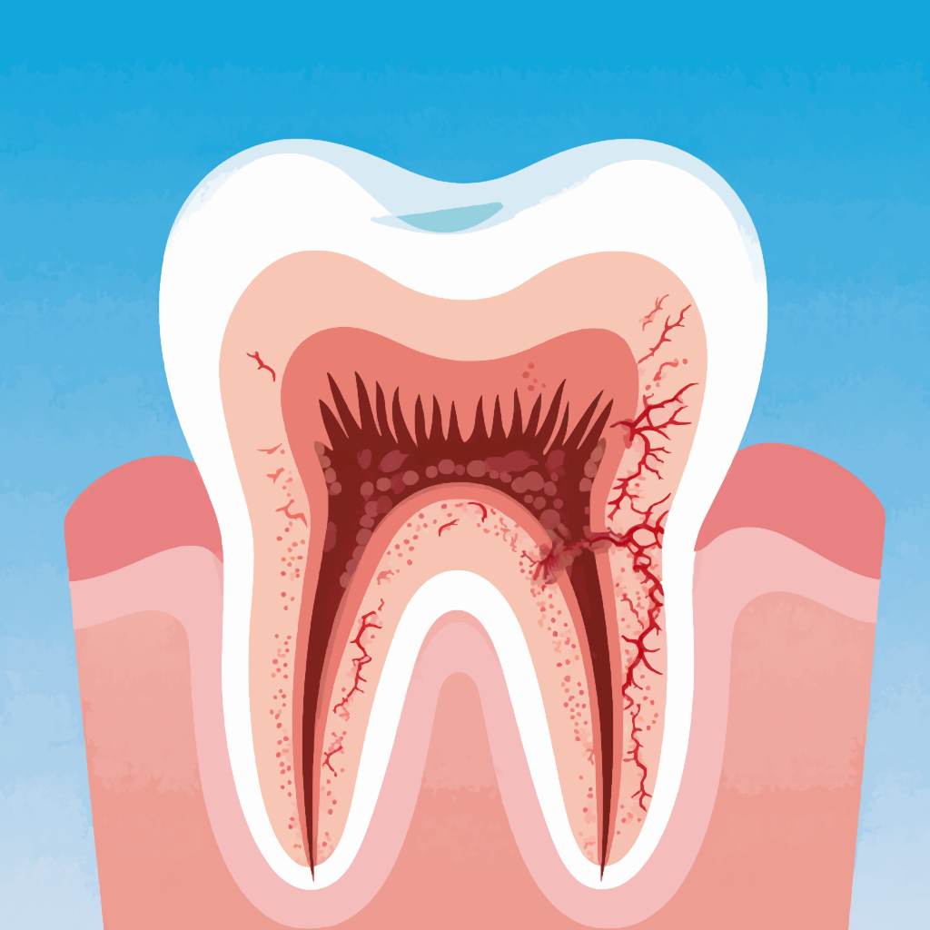 Изображение зуба